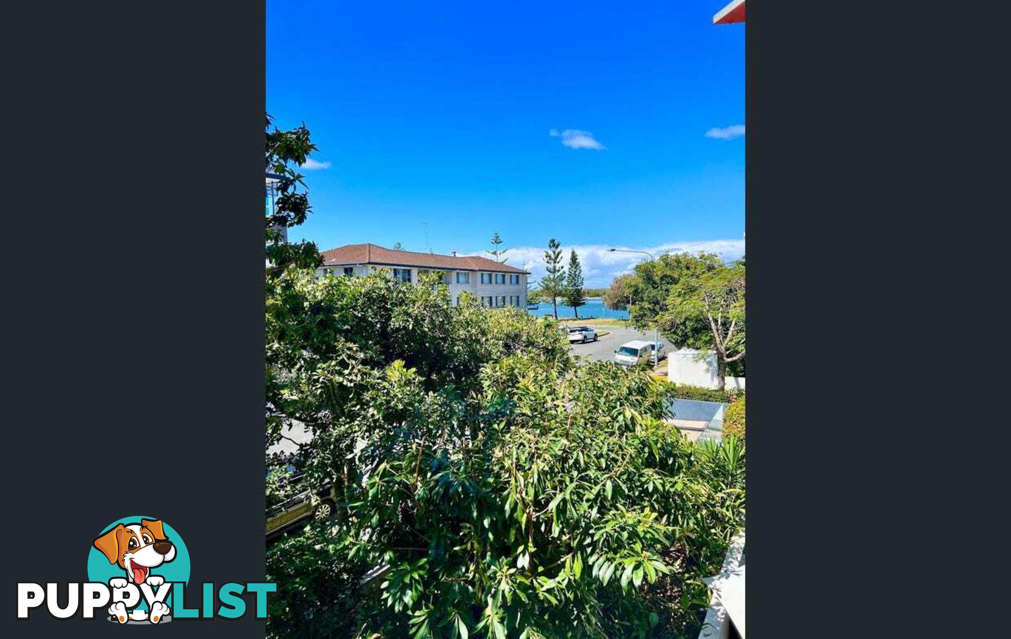 ID:21141649 438 Marine Parade Biggera Waters QLD 4216