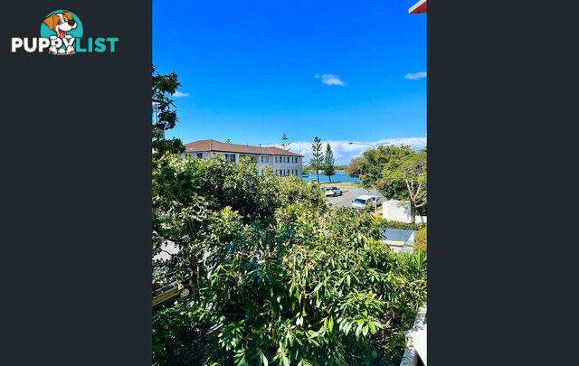 ID:21141649 438 Marine Parade Biggera Waters QLD 4216