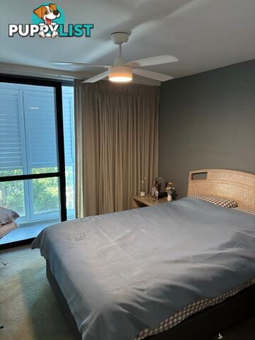ID:21141649 438 Marine Parade Biggera Waters QLD 4216