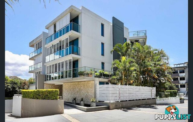 ID:21141649 438 Marine Parade Biggera Waters QLD 4216