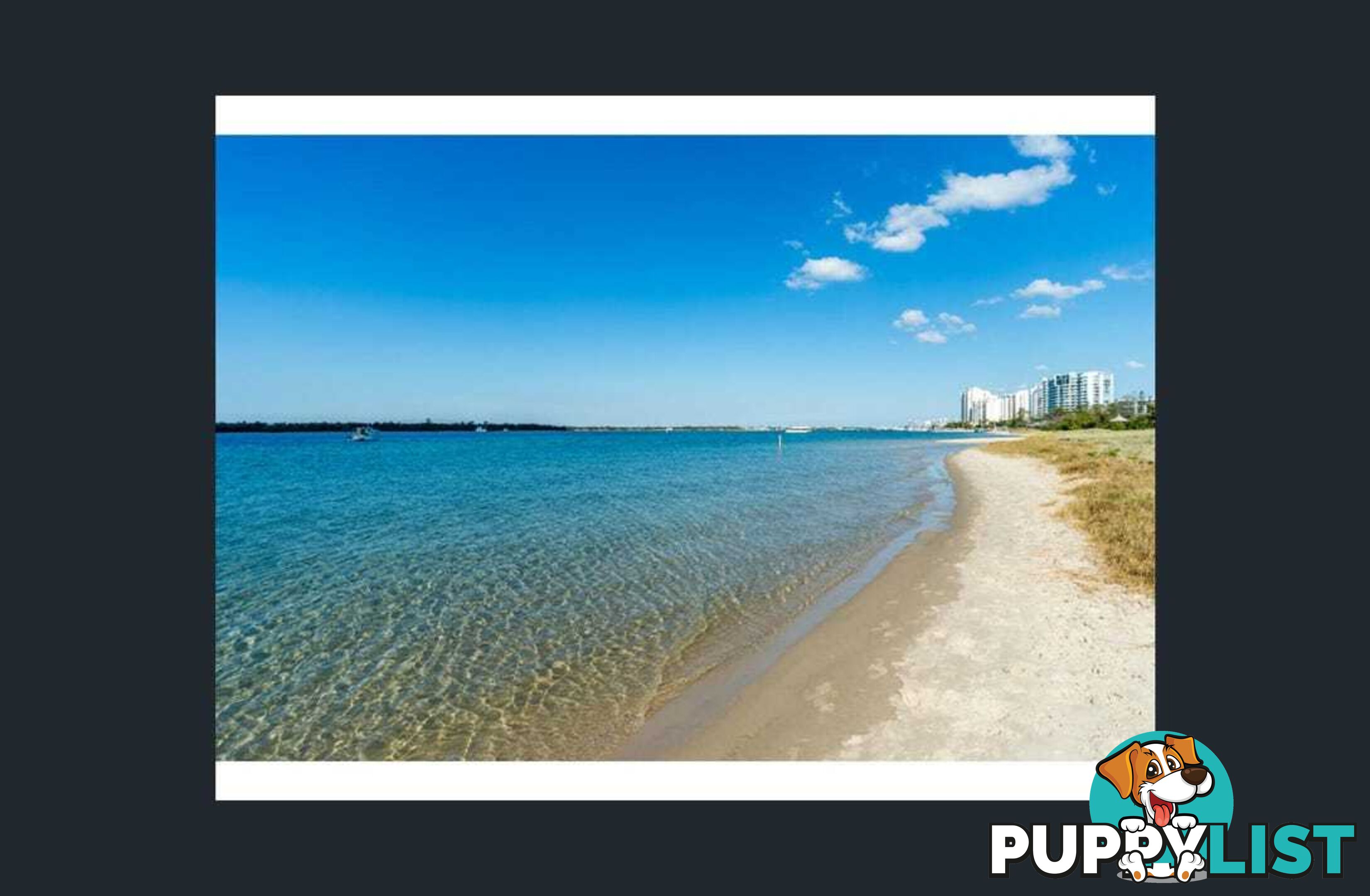 ID:21141649 438 Marine Parade Biggera Waters QLD 4216