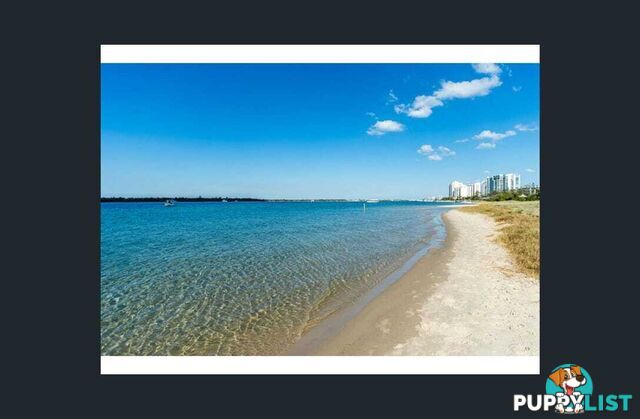 ID:21141649 438 Marine Parade Biggera Waters QLD 4216