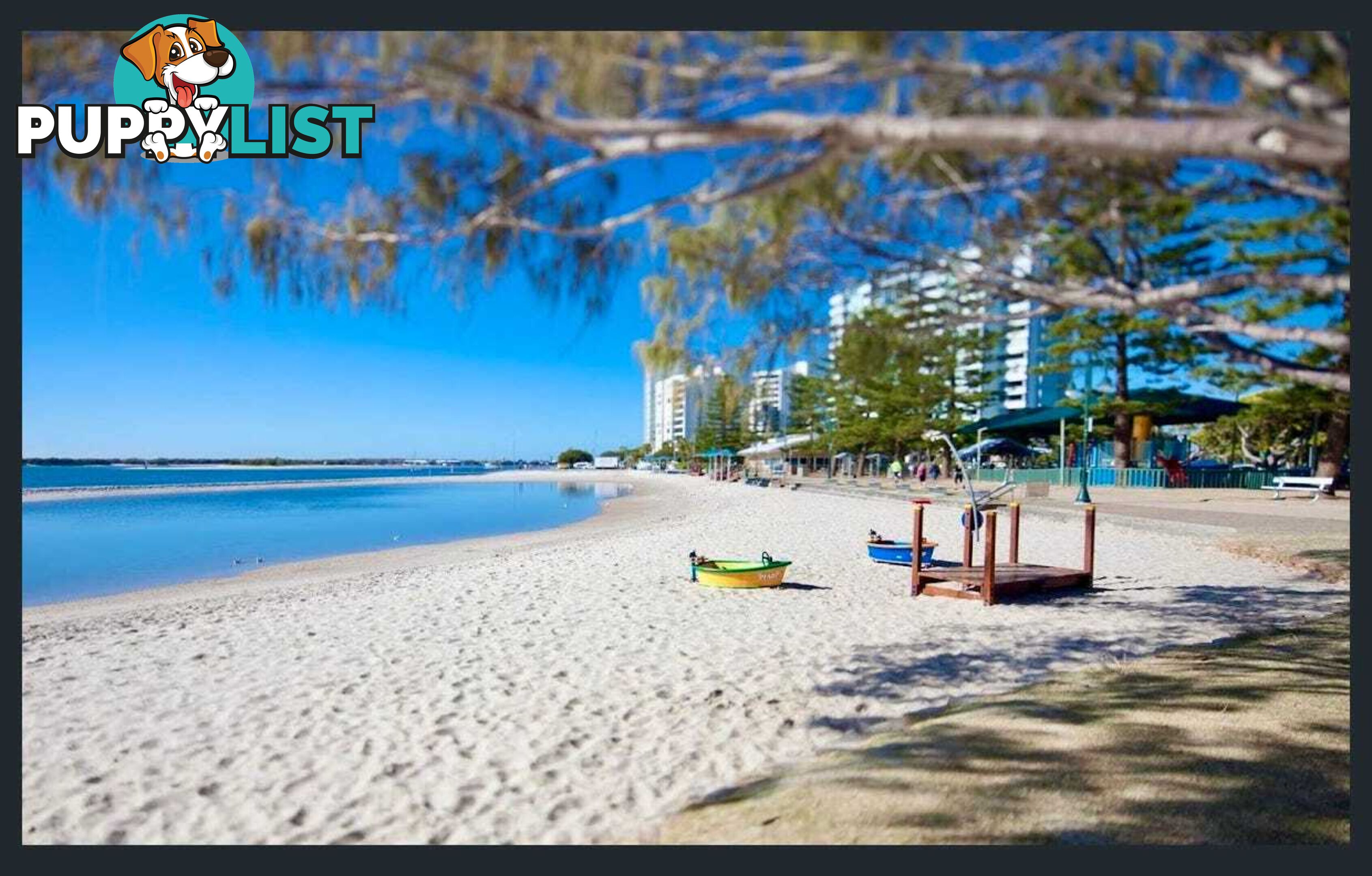 ID:21141649 438 Marine Parade Biggera Waters QLD 4216