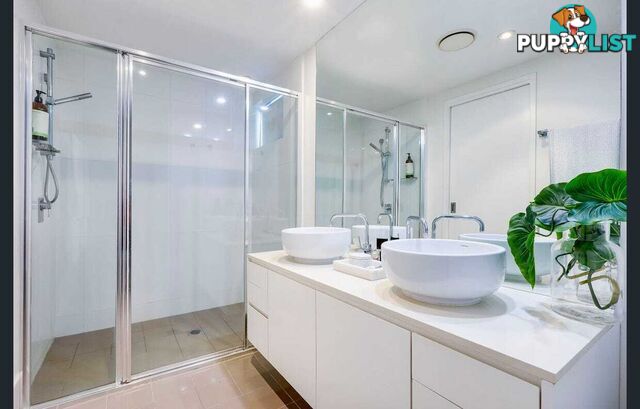 ID:21141649 438 Marine Parade Biggera Waters QLD 4216