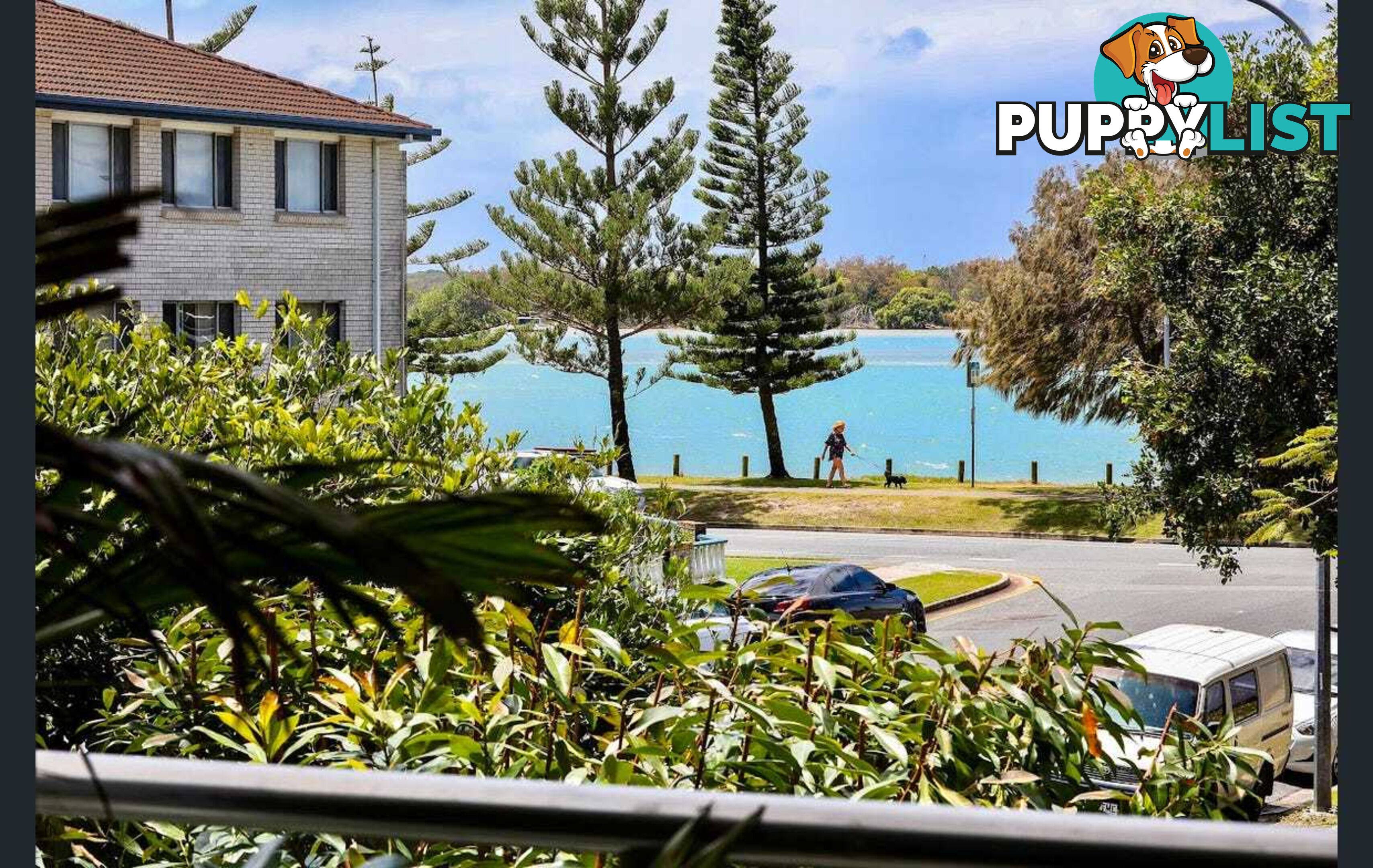 ID:21141649 438 Marine Parade Biggera Waters QLD 4216