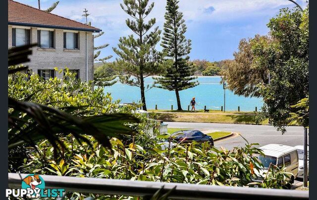 ID:21141649 438 Marine Parade Biggera Waters QLD 4216