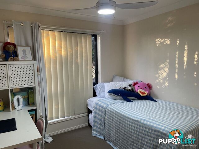 ID:21154289 2 Prudence Court Carina QLD 4152