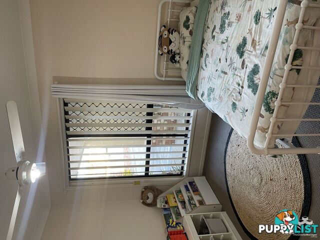 ID:21154289 2 Prudence Court Carina QLD 4152