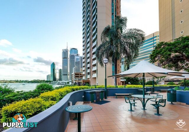 38 / 35 Howard Street Brisbane City QLD 4000