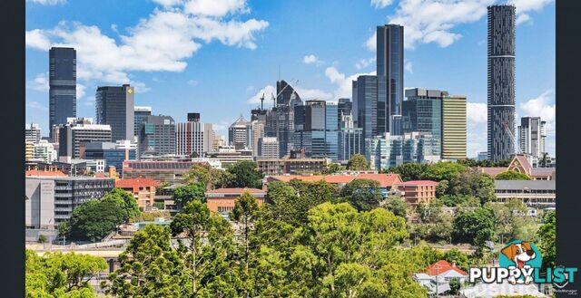 30803/67 Blamey Street Kelvin Grove QLD 4059