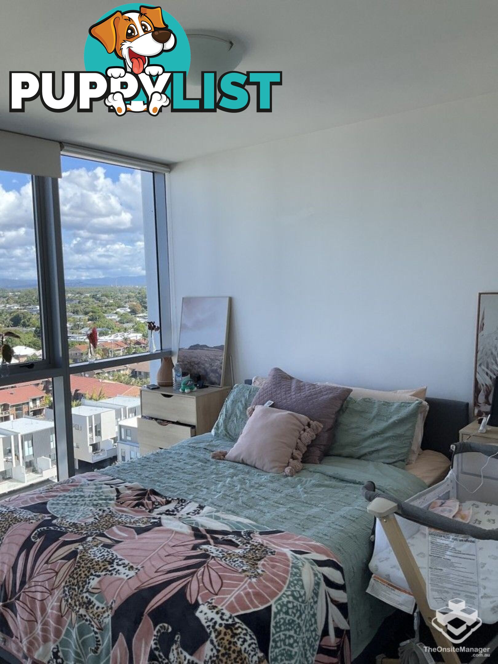 ID:21151910 19 Imperial Parade Labrador QLD 4215