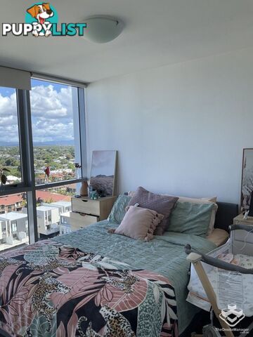 ID:21151910 19 Imperial Parade Labrador QLD 4215