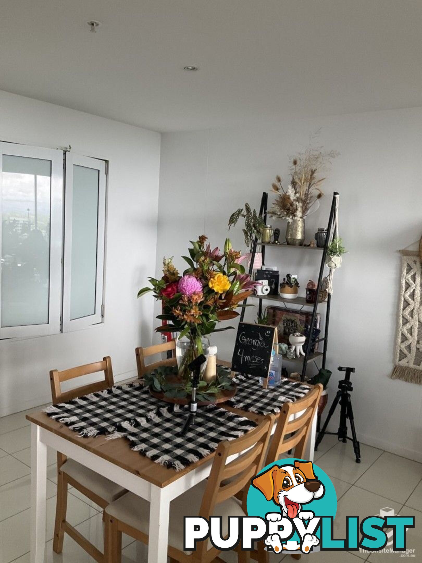 ID:21151910 19 Imperial Parade Labrador QLD 4215