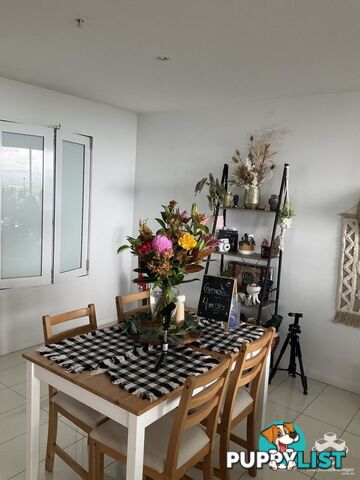 ID:21151910 19 Imperial Parade Labrador QLD 4215