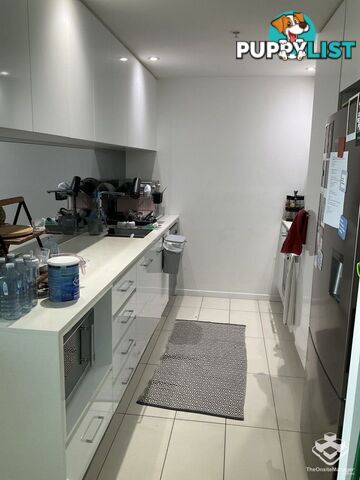 ID:21151910 19 Imperial Parade Labrador QLD 4215