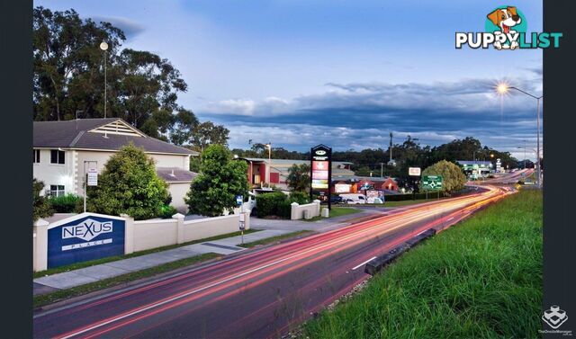 ID:21152773 129-131 Currumburra Road Ashmore Qld 4214