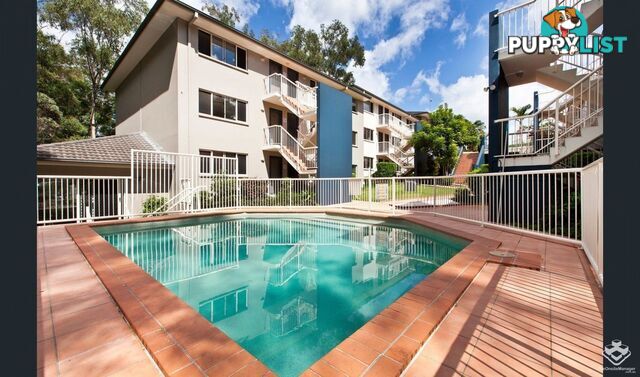 ID:21152773 129-131 Currumburra Road Ashmore Qld 4214