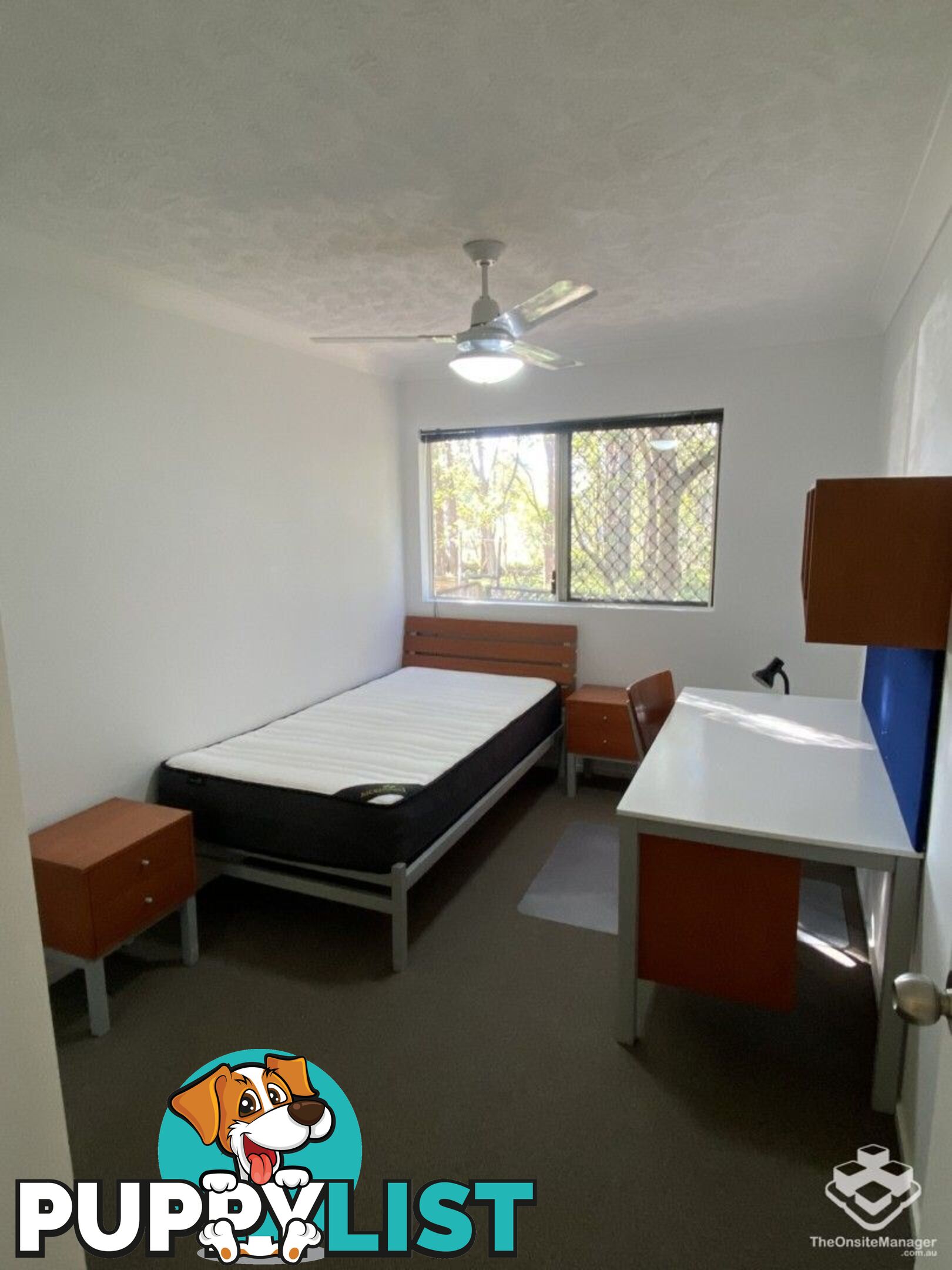 ID:21152773 129-131 Currumburra Road Ashmore Qld 4214