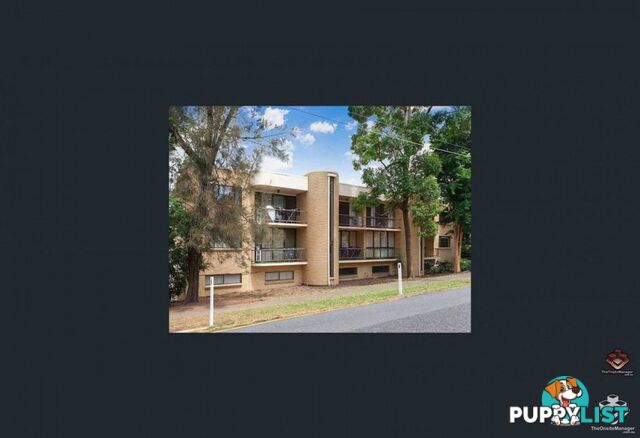 3/47 Miskin Street Toowong QLD 4066