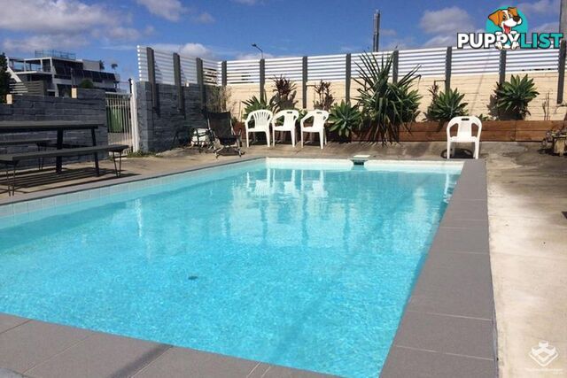 2/2317 Gold Coast Highway Mermaid Beach QLD 4218