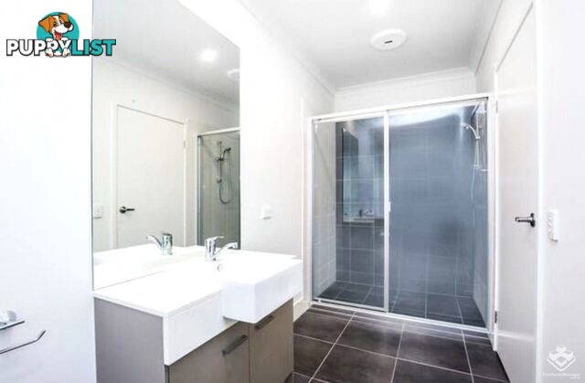 21 King Orchid Circuit Coomera QLD 4209
