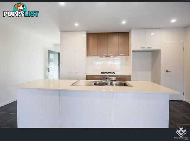 21 King Orchid Circuit Coomera QLD 4209