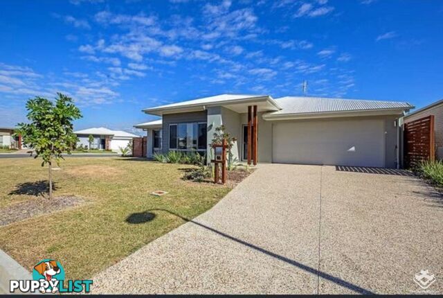 21 King Orchid Circuit Coomera QLD 4209