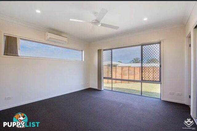 21 King Orchid Circuit Coomera QLD 4209