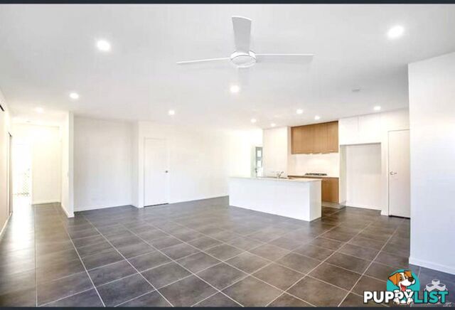 21 King Orchid Circuit Coomera QLD 4209