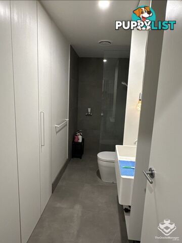704/10 Buchanan Street West End QLD 4101