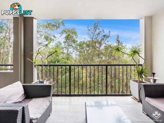 ID:21155290 26 Great Hall Drive Miami QLD 4220