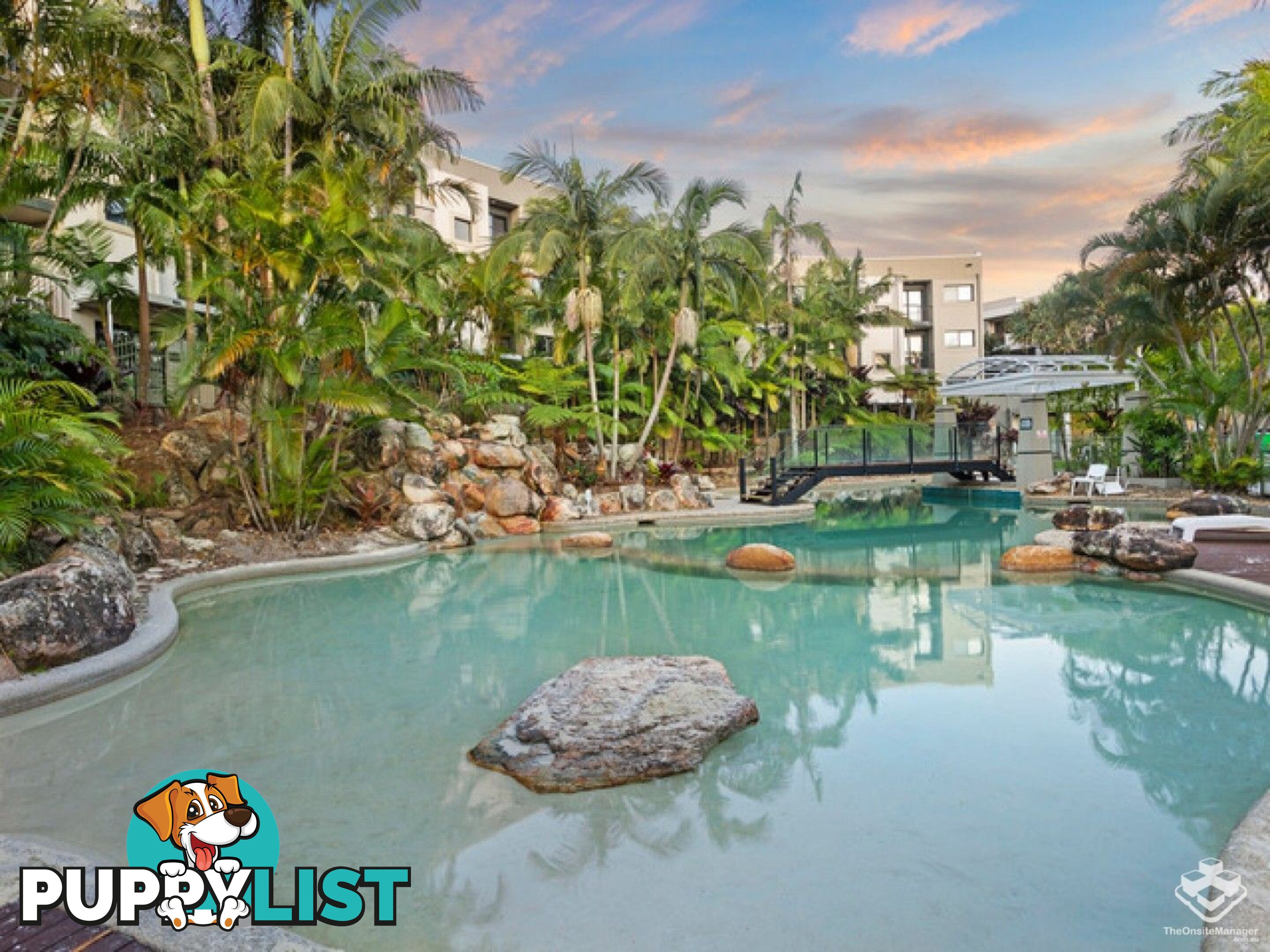 ID:21155290 26 Great Hall Drive Miami QLD 4220