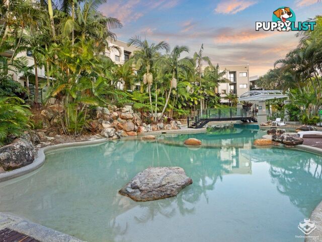 ID:21155290 26 Great Hall Drive Miami QLD 4220