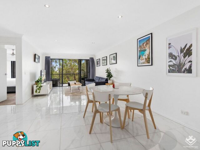 ID:21155290 26 Great Hall Drive Miami QLD 4220