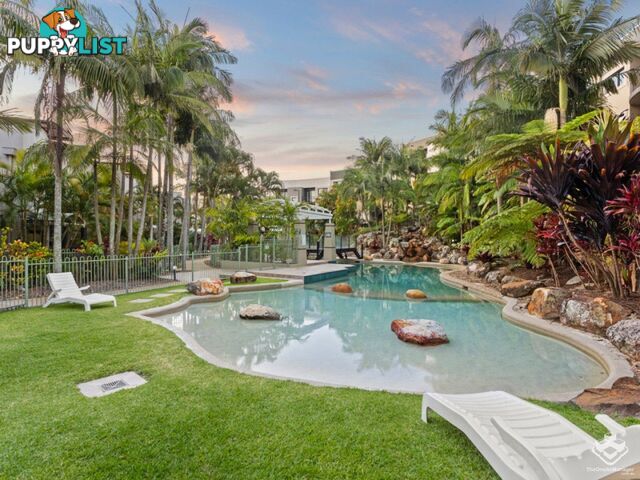 ID:21155290 26 Great Hall Drive Miami QLD 4220
