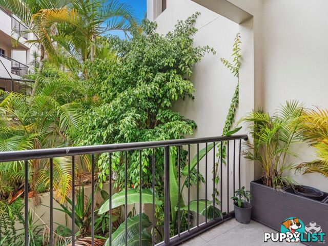 ID:21155290 26 Great Hall Drive Miami QLD 4220