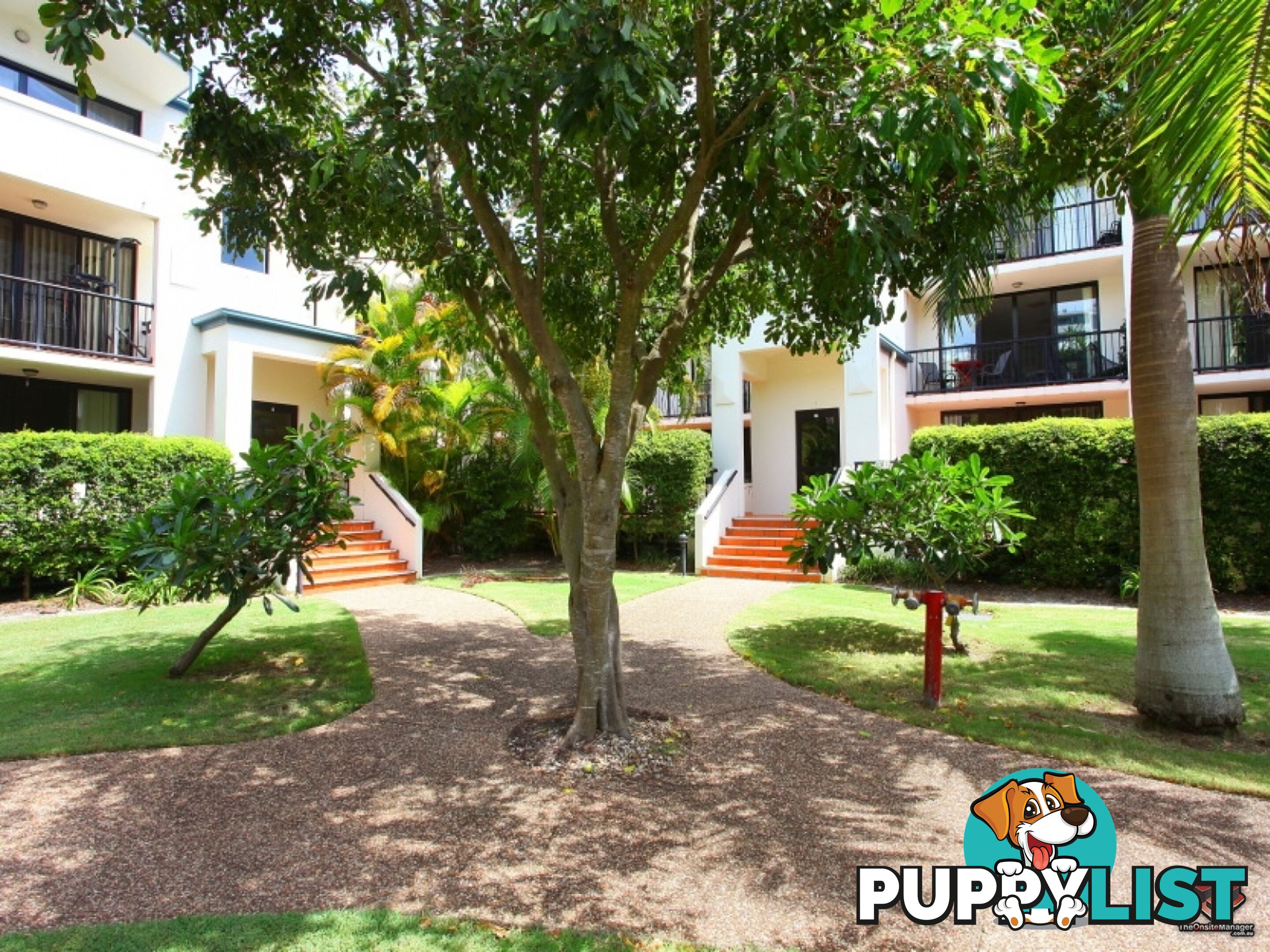 38 Labrador Street Labrador QLD 4215