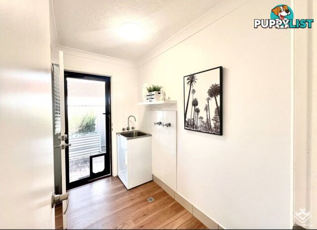 31/172 Barrier Reef Drive Mermaid Waters QLD 4218