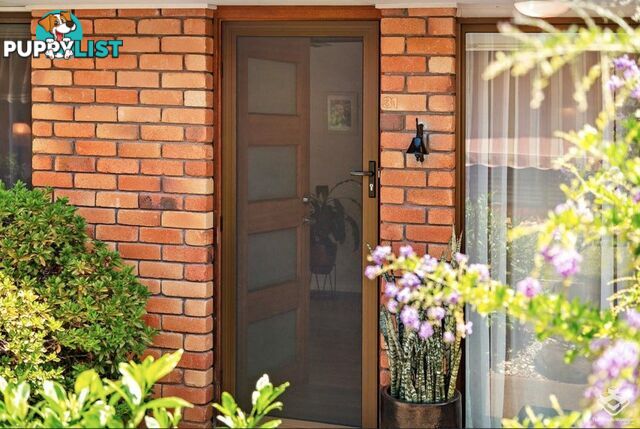 31/172 Barrier Reef Drive Mermaid Waters QLD 4218