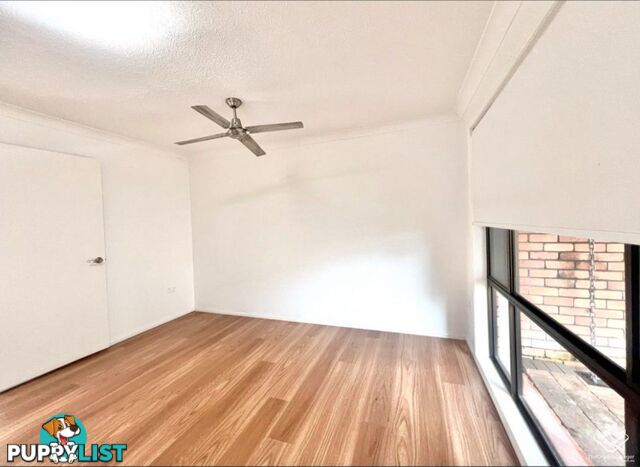 31/172 Barrier Reef Drive Mermaid Waters QLD 4218