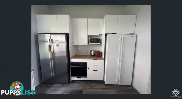 37 Sedgebrook Street Spring Hill QLD 4000