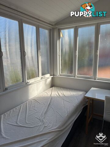 37 Sedgebrook Street Spring Hill QLD 4000