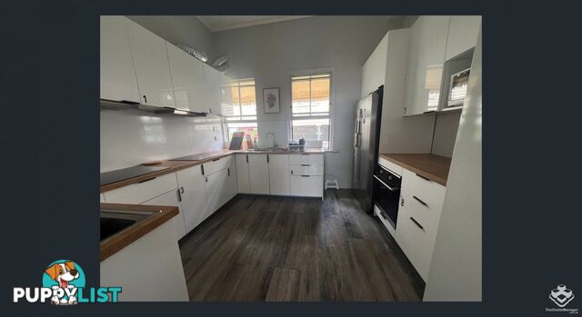 37 Sedgebrook Street Spring Hill QLD 4000