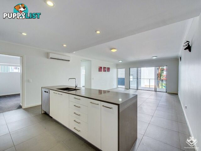 ID:21158048 19 Tank Street Kelvin Grove QLD 4059