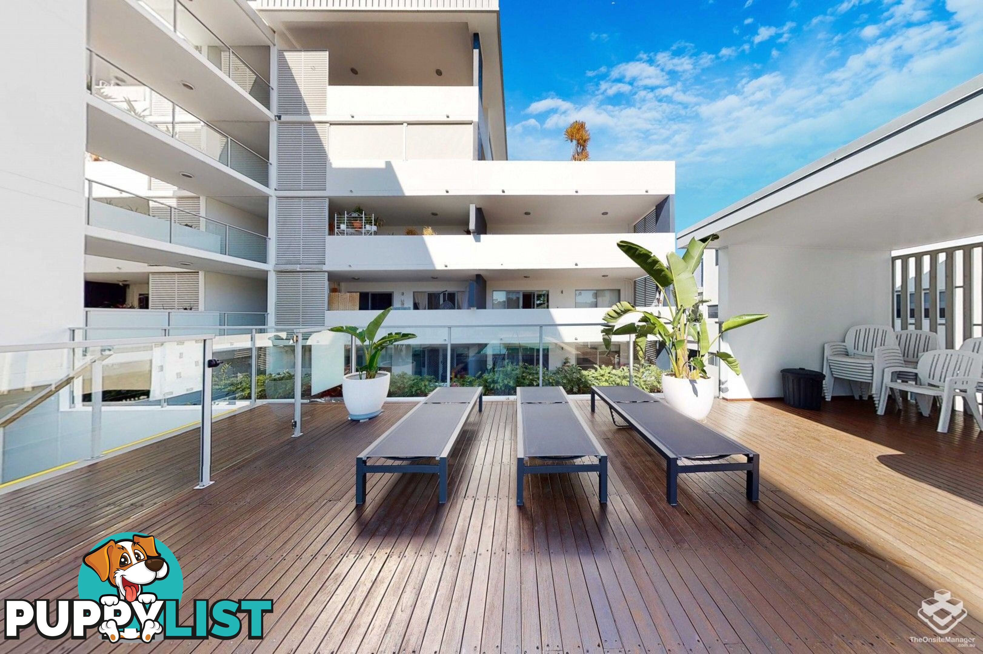 ID:21158048 19 Tank Street Kelvin Grove QLD 4059