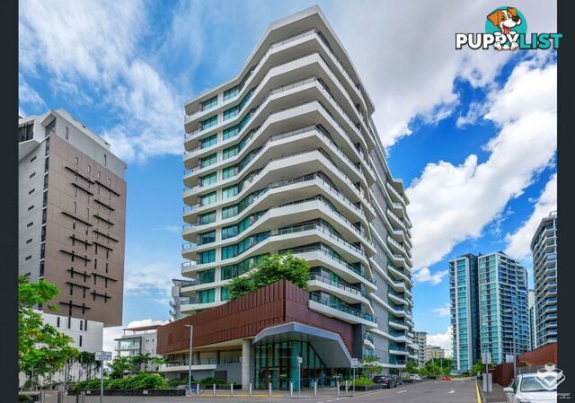 ID:21068769 37B Harbour Road Hamilton QLD 4007