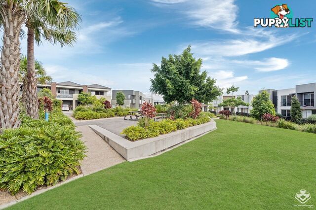 79/25 The Corso North Lakes QLD 4509