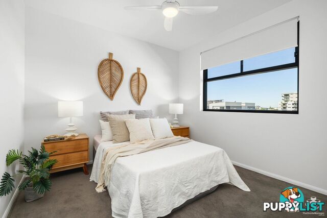 ID:21155508 10 Curwen Terrace Chermside QLD 4032