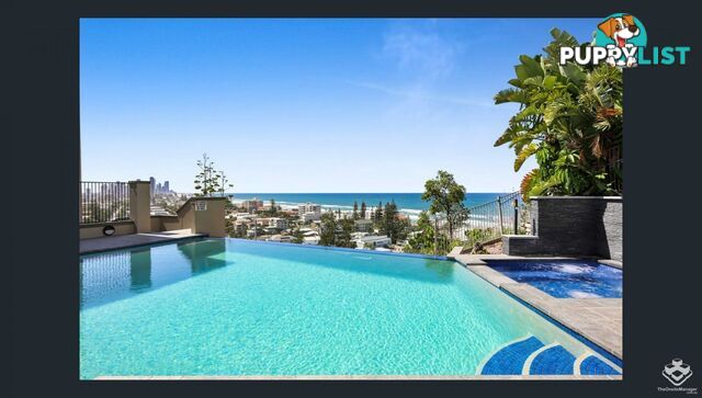 ID:21158462 1 Great Hall Drive Miami QLD 4220