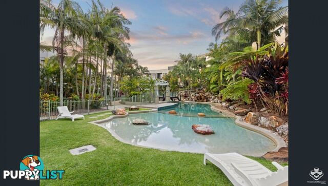 ID:21158462 1 Great Hall Drive Miami QLD 4220